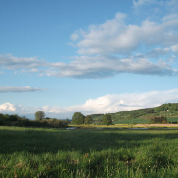 NSG Bruch von Heegheim