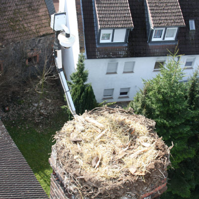 Das bezugsfertige Nest in 23 Meter Höhe